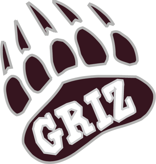 Montana Grizzlies 1996-Pres Alternate Logo v9 t shirts iron on transfers